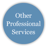 Other Professional Services